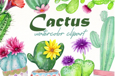Watercolor Cactus clipart Bundle | Cactus png | Plant png.