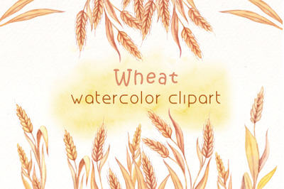 Watercolor wheat clipart Png Bundle | Thanksgiving clipart.