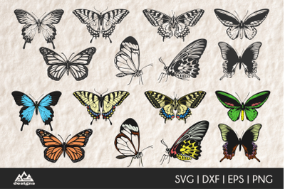 Cute Butterfly Cuttable Svg Design