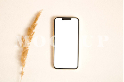 iPhone mockup with pampas leaf