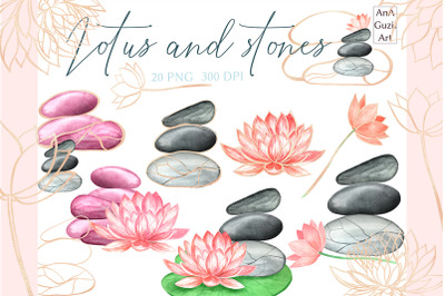 Lotus flowers and stones, watercolor flower Illustration