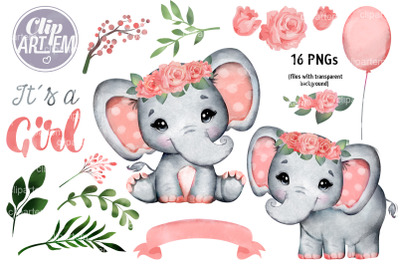 Cute Peach Elephant coral bundle baby shower or birthday 16 PNG set