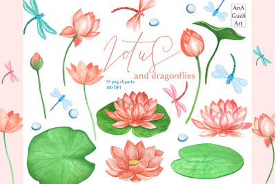 Watercolor Lotus flowers, Dragonfly clipart.