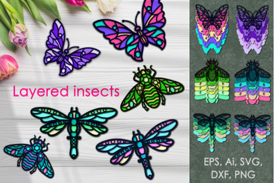 Insects 3D.Cricut SVG File.Craft.