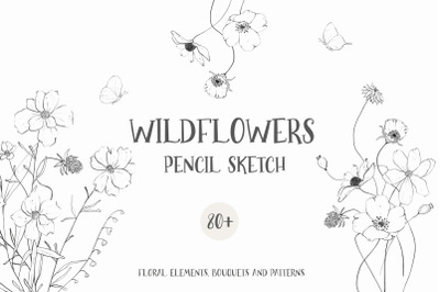 Wildflowers pencil line art sketch