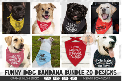 Funny Dog Bandana Bundle Quotes SVG Design Cricut For DIY