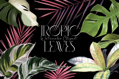 Tropical clipart. Hand painted watercolor palm leaves. Monstera
