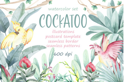 Cockatoo. Watercolor set. 9 items.