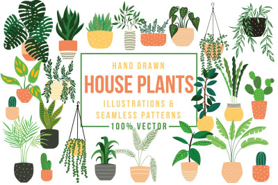 House plants -Illustrations &amp; Patterns