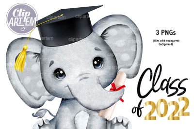 Graduation Elephant 2022 in Cap Watercolor Clip Art 3 PNG files