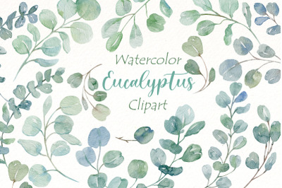 Watercolor Eucalyptus Clipart Bundle | Greenery png clipart.