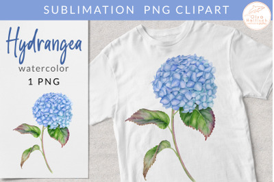 Watercolor Blue Hydrangea Clipart. French Flower Sublimation PNG