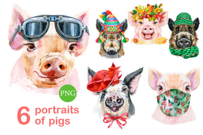 Cute watercolor pigs. Part 13
