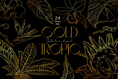 Tropical flowers, Gold line art clipart, line plants graphic