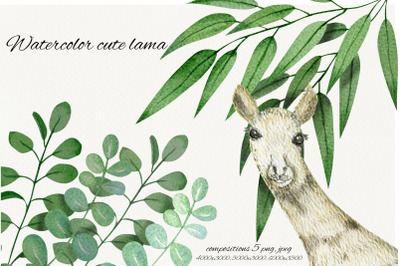 Watercolor Cute Lamas Postcard