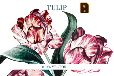 Baroque vector tulip illustration 2