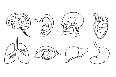 One line human organs. Minimal skull, brain and heart. Vision eye, hea