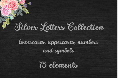 Silver Glitter Letters