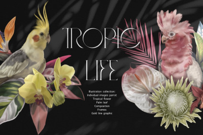 Tropic life. 100+ Parrot &amp; flower