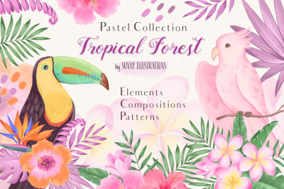 Tropical Forest - Pastel Collection