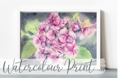 Pink Hydrangea - Watercolour Print