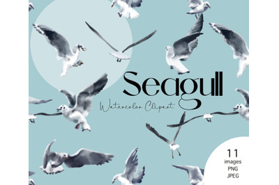 Seagull Clipart, Marine Clipart, Watercolor Bird