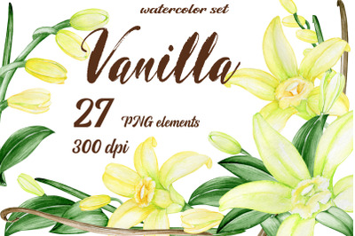 Watercolor Vanilla Clipart Vanilla Clip Art Beans Flowers Tropical Wed