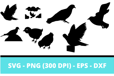 20+ Pigeon Silhouettes and Cut Files