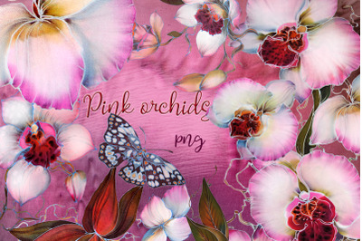 Pink Orchids Clipart