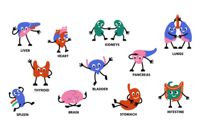 Human body organs characters. Cartoon cute anatomy mascot persons with