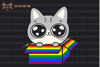 Gay Cat in the LGBT Rainbow Box