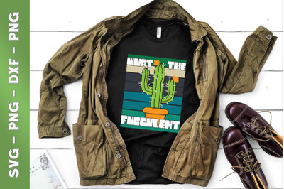 What the Fucculent Cactus Succulents