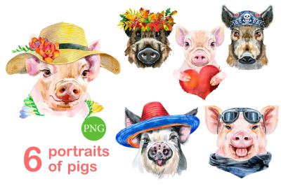 Cute watercolor pigs. Part 14