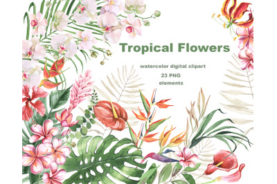 Watercolor Tropical Flower clipart. Exotic Summer flowers and leaves.