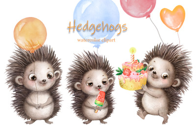 Hedgehogs watercolor clipart. Childish cute print.