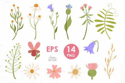 Wildflower clipart. Plants png.