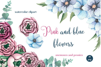 Watercolor Pink Peonies and blue anemones Flowers Clipart