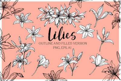 Lilies Hand sketched elements | Floral graphic Clip art