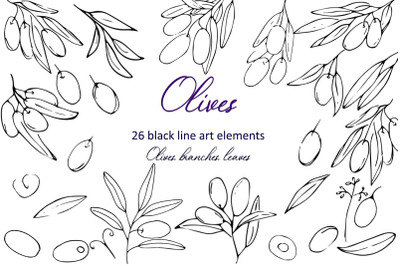 Collection olive branches line art  elements