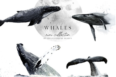 Whales watercolor mini collection