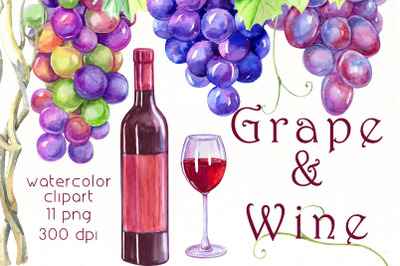 Grapes png clipart Bundle | Grapevine clipart | Food clipart