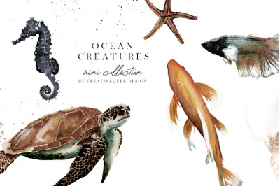 Ocean Creatures Fish Watercolor Mini Collection