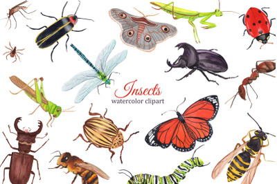 Insects watercolor clipart