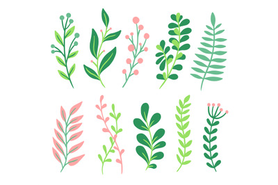 Decor leaves. Green and pink plant elements, organic garden foliage, b