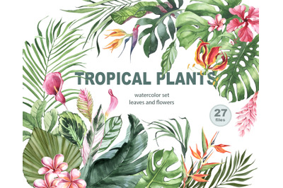 Tropical Greenery Watercolor Clipart. banana, Monstera and palm leaf.