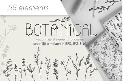 Botanical collection illustrations