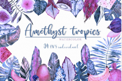 Amethyst tropics watercolor clipart