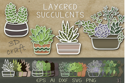 Layered succulents. 3D craft