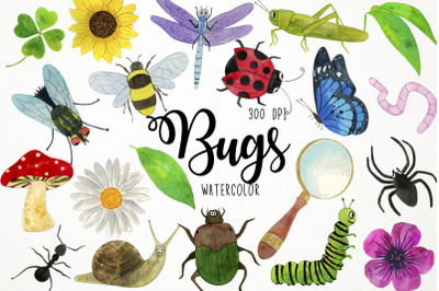 Watercolor Bugs Clipart, Insects Clipart, Animals Clipart, Nature