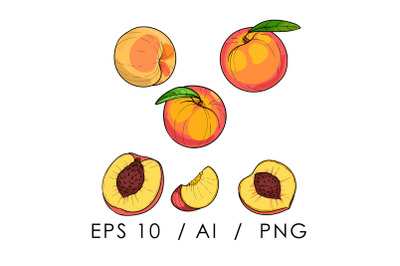 peach sketch